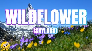 Wildflower by Skylark l Cover by SingAlong Karaoke youtubemusic coversong singalongkaraoke [upl. by Akinal981]