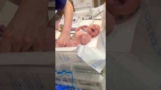 Cute Newborn gets swaddled 💕birthstory baby shorts newborn babies hospital [upl. by Ejrog716]