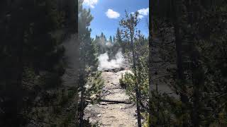 Arch Steam Vent  Norris Geyser Basin yellowstonenationalpark geothermalwonders steamvent [upl. by Sidalg]