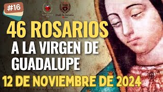 Día 16 de los 46 Rosarios a la Virgen de Guadalupe 12 de Noviembre de 2024 MISTERIOS DOLOROSOS [upl. by Annwahsal]