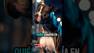 VS DE DOS TITANES Dogo Argentino vs Bullmastiff perrunos perro humor perros mascotas dog [upl. by Catharina215]