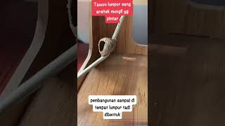 TAWON CERAS BUAT RUMAH SENDIRI VIRAL funny fyp tawonvespa [upl. by Drofnil]