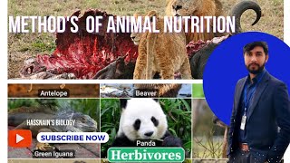 Methods of animal nutrition biologistasifsaleem0910 [upl. by Atwood]