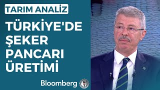 Tarım Analiz  Türkiyede Şeker Pancarı Üretimi  10 Mayıs 2023 [upl. by Elleinod385]