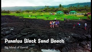 Punaluu Black Sand Beach [upl. by Etnoled]