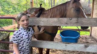 HORSE CAMPING at Sandaraska Park Ontario [upl. by Ennahtebazile]