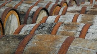 What Is Cask Strength aka Barrel Proof  Whiskey Guide [upl. by Ailsun]