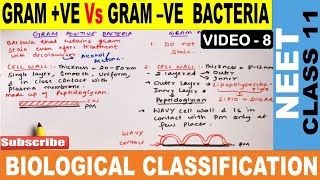 Gram Positive Vs Gram Negative Bacteria in Hindi  Biological Classification Class 11  NEET 202223 [upl. by Pryce645]