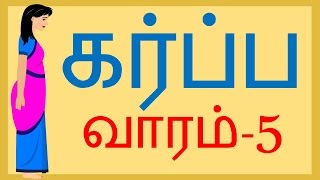 Pregnancy 31 Tamil  32 weeks pregnant Tamil  Week by week pregnancy in tamil  Pregnancy Tips [upl. by Oramug]