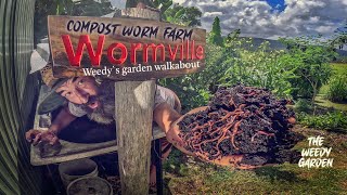 From Scraps to Soil Gold Unlocking the Secrets of a Compost Worm Farm  Worm Farming For Compost [upl. by Ideih]