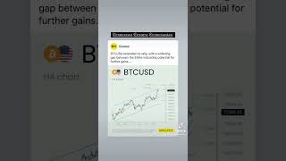 BTC MARKET INSIGHTS 📈 [upl. by Ahsiled]