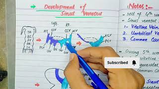 Development of sinus venosus  CvS embryology [upl. by Nehtanoj]