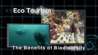 Official video of the International Year of Biodiversity 2010 [upl. by Job]