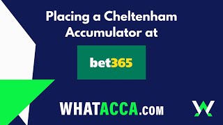 Place a Cheltenham accumulator at bet365  Easy guide from WhatAccacom [upl. by Ahsimek]