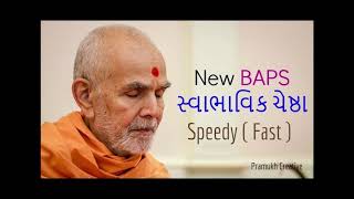 Mahant Swami Maharaj Chesta SPEEDY  Pramukh Creative [upl. by Leinto368]