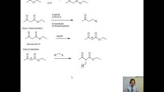 Acetoacetic ester synthesis [upl. by Debor]