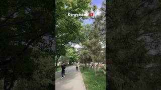 Fully green sidewalks in Bishkek Kyrgyzstan 🇰🇬 [upl. by Vanthe]