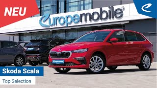 Skoda Scala TOP SELECTION TSI DSG  Innenraum  Exterior [upl. by Antrim]