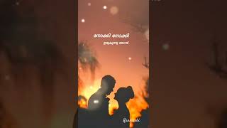 Nee Varunna Vazhiyora sandhyayil onnu thodan ullil love music whatsappstatus [upl. by Telford]