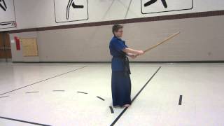 Haidong Gumdo Form 3 [upl. by Kaye201]