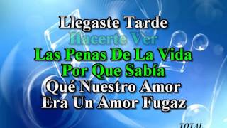 karaoke Llegaste Tarde Los Tri O [upl. by Ynagoham304]