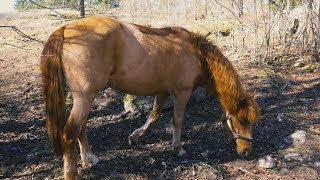 VAD HÄNDE MED MELLE [upl. by Merri]