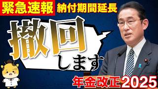 【最新情報】2025年の年金制度改正案​​／改悪と改良について最新の改正案を解説​​ [upl. by Einram]