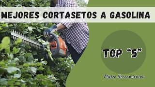 Selección los 5 mejores cortasetos gasolina calidad precio 🌿 Las mejores ideas para podar tus setos [upl. by Aicrag]