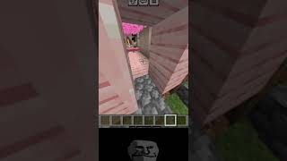 Jenny in minecraft 😳 shorts viral minecraft jenny luna ellie shortsfeed [upl. by Floris612]