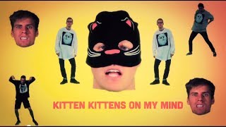 The Cat Rap I Got Kittens On My Mind  Thirty100 [upl. by Arther60]