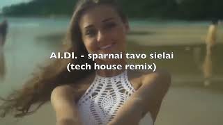 Sparnai tavo sielai  Aidas Pech amp AIDI summer remix [upl. by Sidoney886]