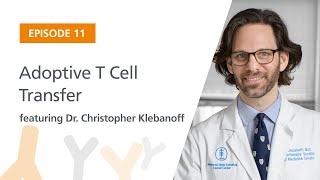 Adoptive T Cell Transfer featuring Dr Christopher Klebanoff  The Immunology Podcast [upl. by Glaser]