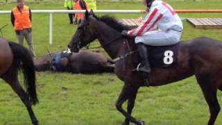 A Horse Falls at the Sligo Races County Sligo Ireland [upl. by Aratas905]