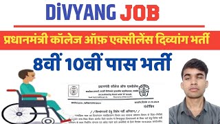 दिव्यांग भर्ती प्रधानमंत्री कॉलेज ऑफ़ एक्सीलेंसDivyang jobnew job information [upl. by Buchbinder]