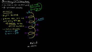 Protein Structure Part 2 of 4  Secondary Structure  Alpha Helix [upl. by Adnoved]