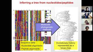 60476878 Lecture 19  Phylogenetics Fall 2020 [upl. by Nymsaj]