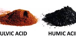 7 Fulvic Acid Benefits and Uses [upl. by Bald]