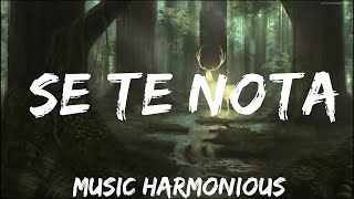 Lele Pons amp Guaynaa  Se Te Nota LetraLyrics  Music is Lyrics [upl. by Ayekal659]