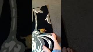 Funny tortoise 🐢 shorts tortoise lol viralvideo [upl. by Ajna]