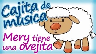 Cajita Musical para dormir y relajar bebés  Mery tiene una oveja [upl. by Ahsik299]