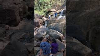 Areekal Waterfalls 💧 shots shorts shortvideo waterfall [upl. by Yeaton687]