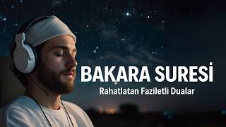 Bakara Suresi İman ve Hikmetin Işığında [upl. by Giule378]