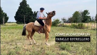 ⚠️❌ CÓMO ACOMODAR CABALLO ESTRELLERO SIN BAJADORES NI MARTINGALAS ⚠️❌ [upl. by Thun239]