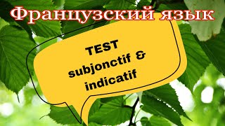 TEST  subjonctif amp indicatif  практикуем французский [upl. by Ittocs]