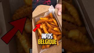 9 INFOS INSOLITES SUR LA BELGIQUE [upl. by Atneciv]