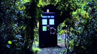 Geronimo  The Song of the 11th Doctor [upl. by Aruam]