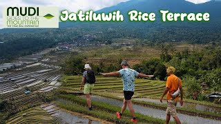 Jatiluwih Rice Terrace [upl. by York]