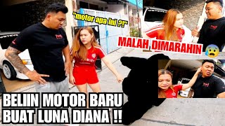 STEVE JOU BELI MOTOR BARU  BEGINI REAKSI LUNA DIANA [upl. by Dillie]