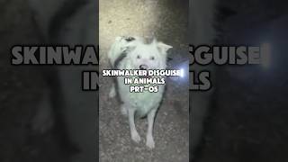 SkinWalker Disguised in Animals 😬 prt05 viral skinwalker scary ytshorts [upl. by Accemahs]