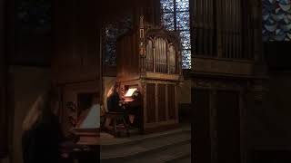 Mozart Kevelaer Seifert Chororgel MarienBasilika Shorts ahs [upl. by Annairba576]